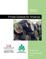 timber report thumbnail