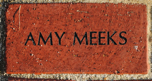 AMY MEEKS