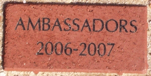 AMBASSADORS