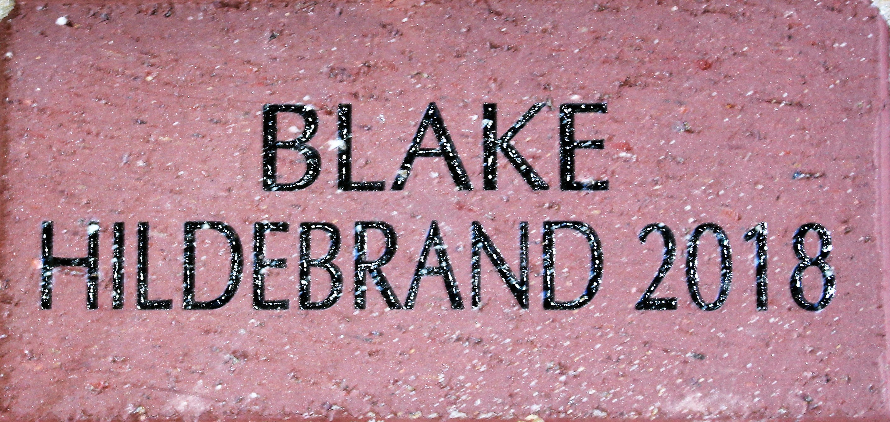 BLAKE HILDEBRAND 2018