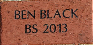 BEN BLACK BS 2013