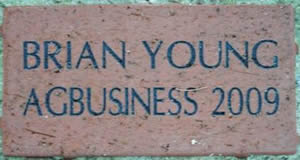 BRIAN YOUNG AG BUSINESS 2009