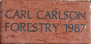 CARL CARLSON FORESTRY 1987