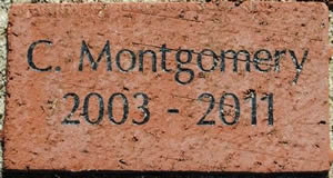 C MONTGOMERY 2003-2011