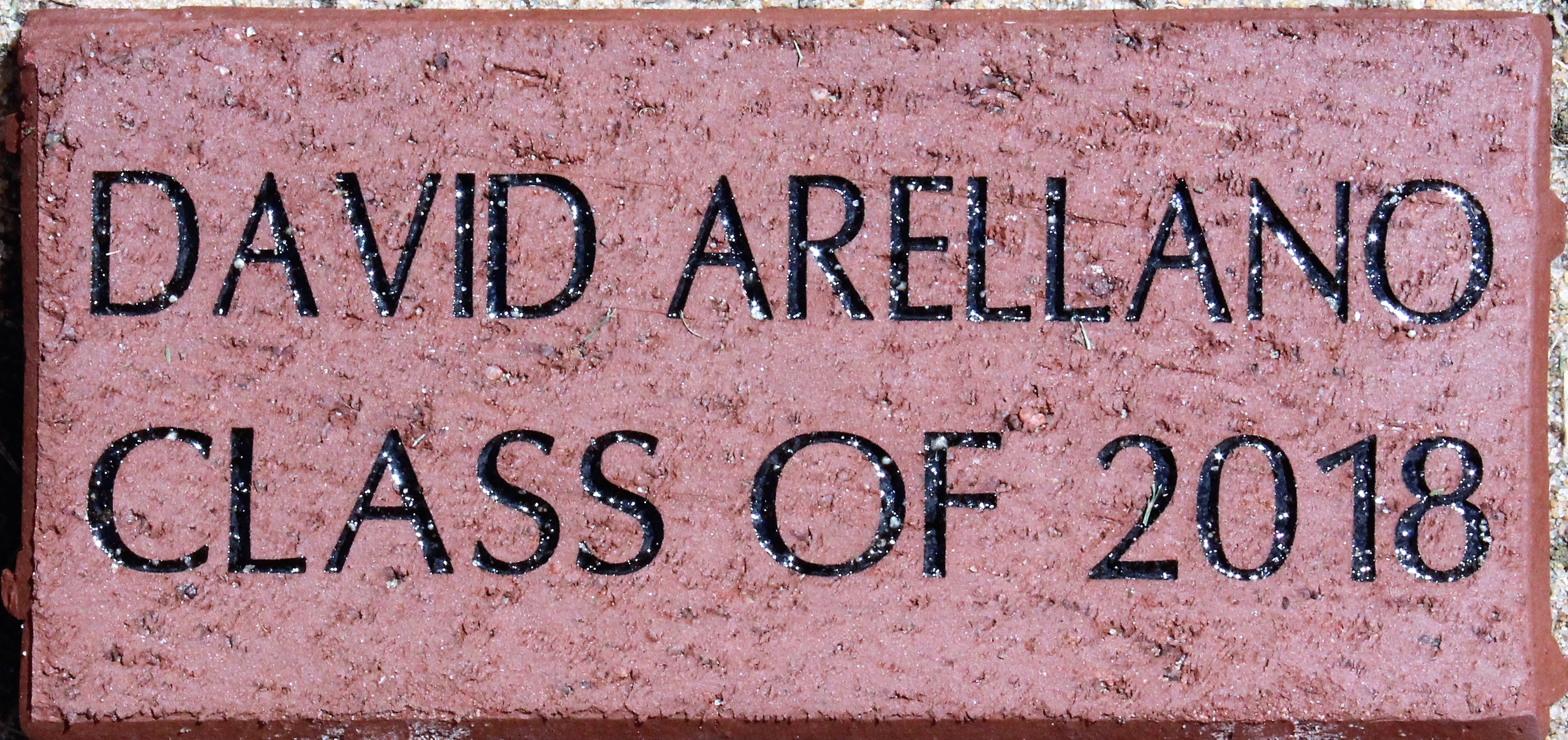 DAVID ARELLANO CLASS OF 2018