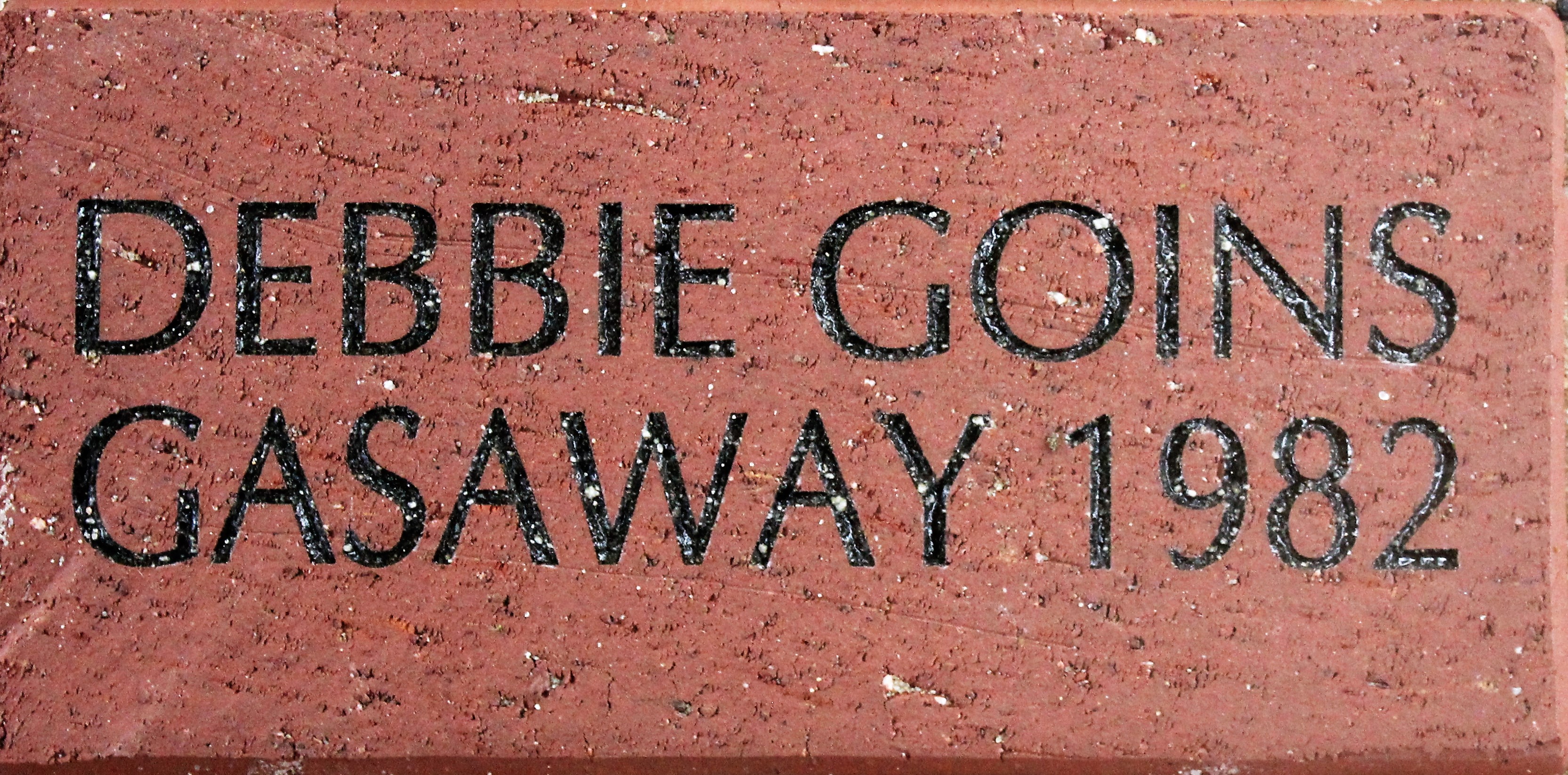 DEBBIE GOINS GASAWAY 1982