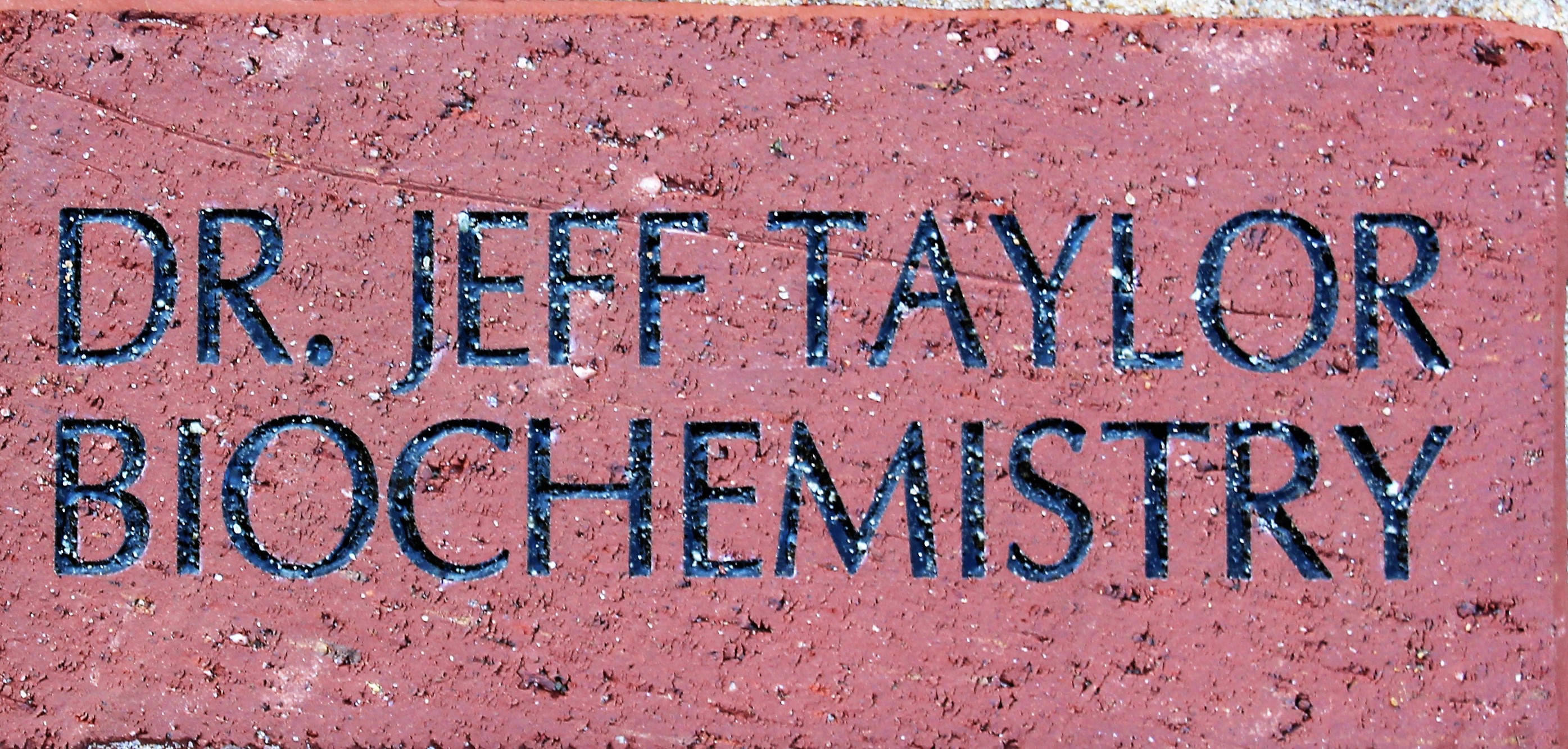 DR JEFF TAYLOR BIOCHEMISTRY