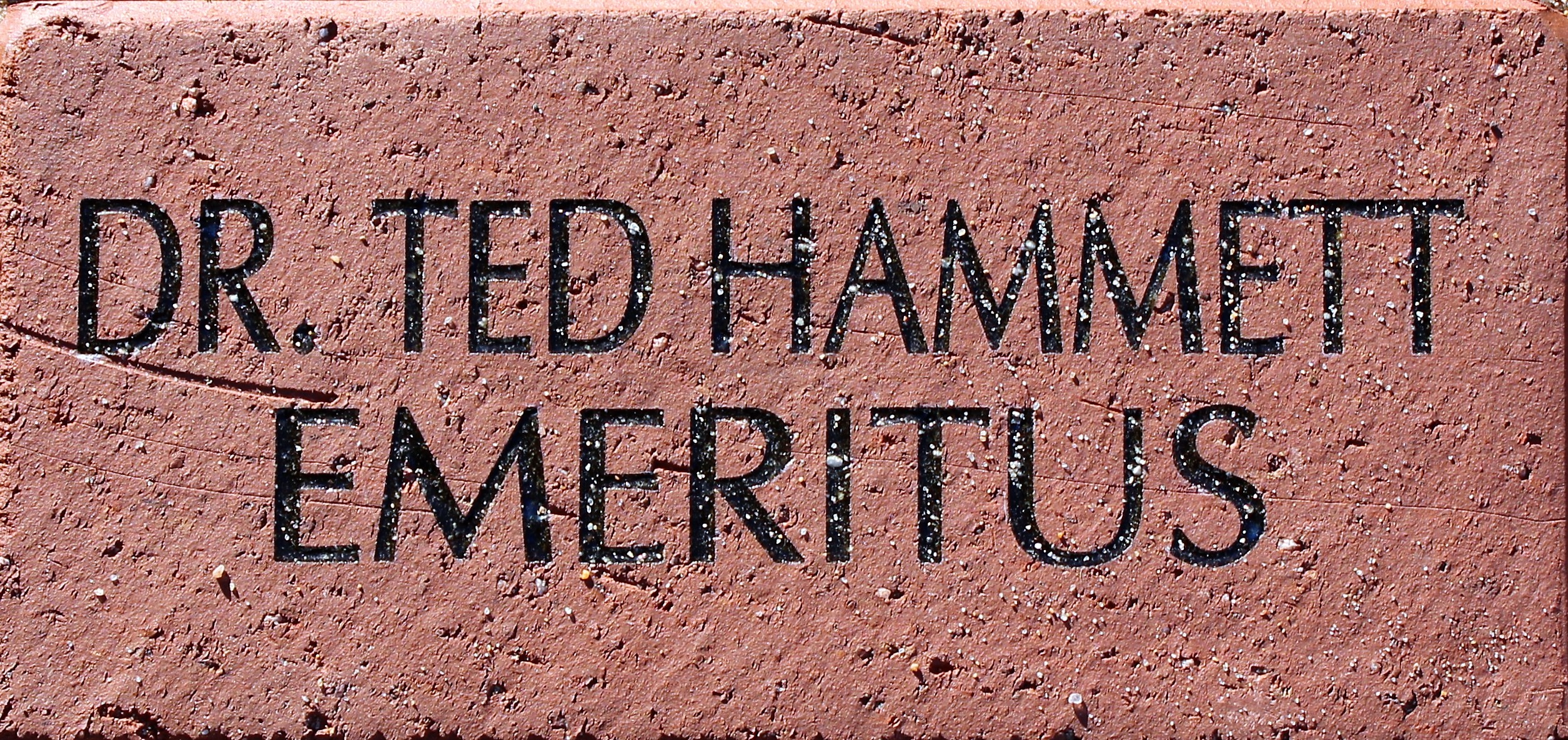 DR TED HAMMETT EMERITUS
