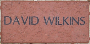 DAVID WILKINS