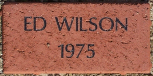 ED WILSON 1975