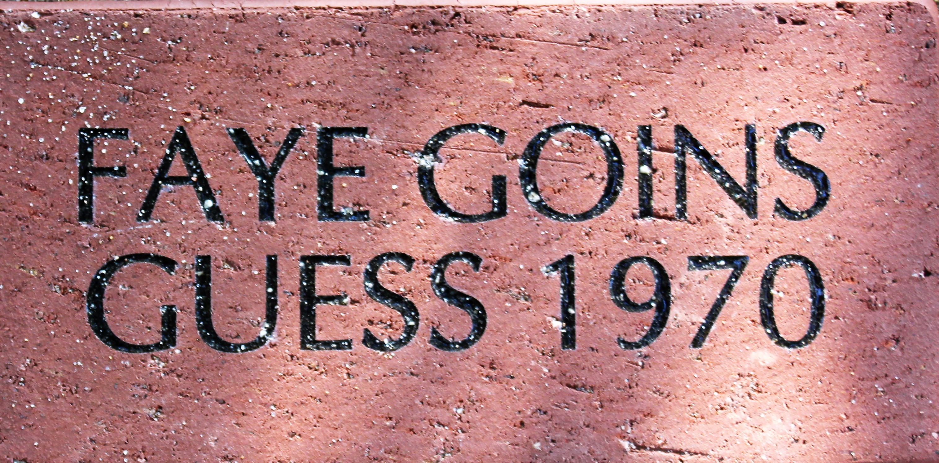 FAYE GOINS GUESS 1970