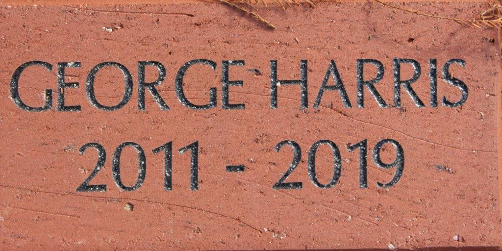 GEORGE HARRIS 2011-2019