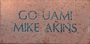 GO UAM! MIKE AKINS