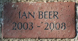 IAN BEER 2003 - 2008