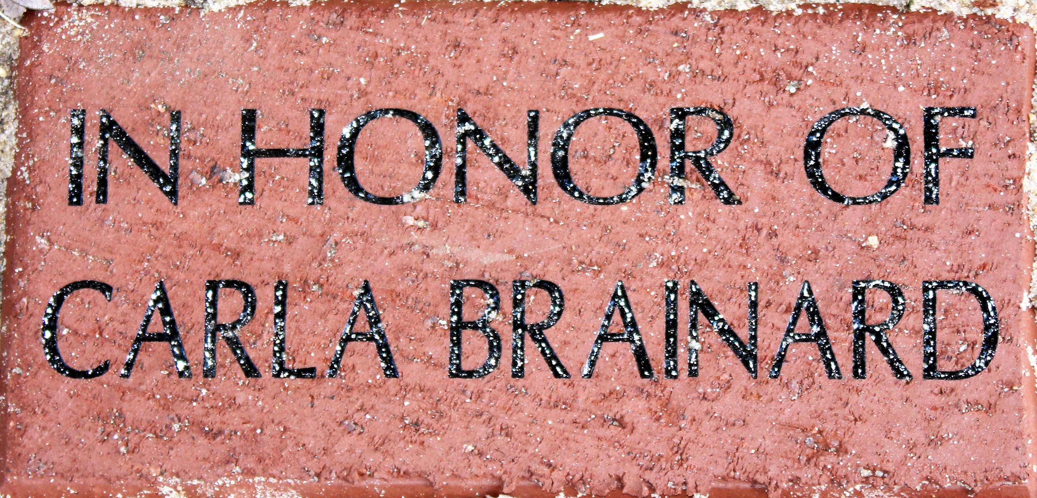 IN HONOR OF CARLA BRAINARD