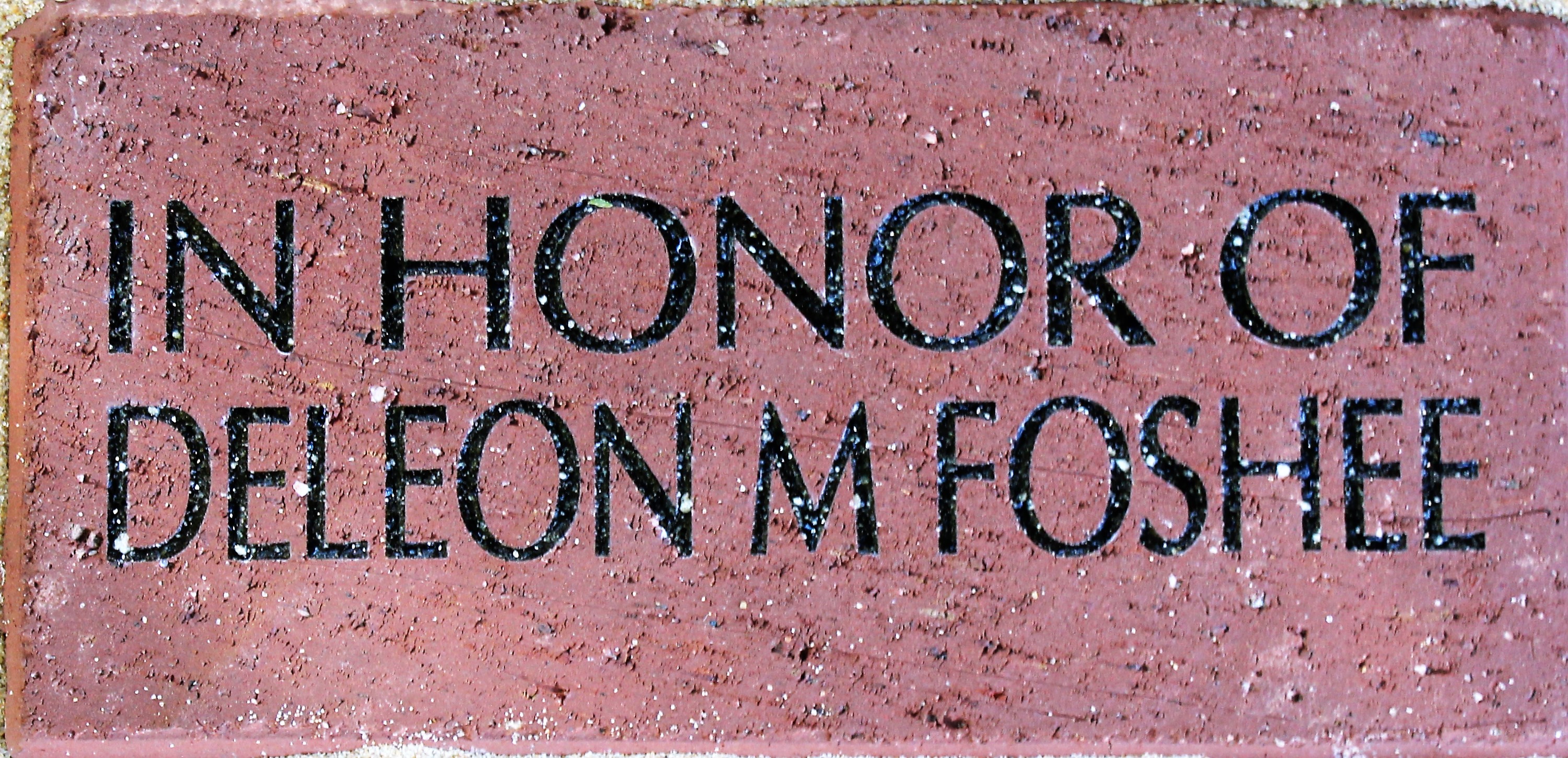 IN HONOR OF DELEON / M FOSHEE