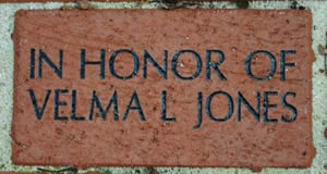 IN HONOR OF VELMA L JONES