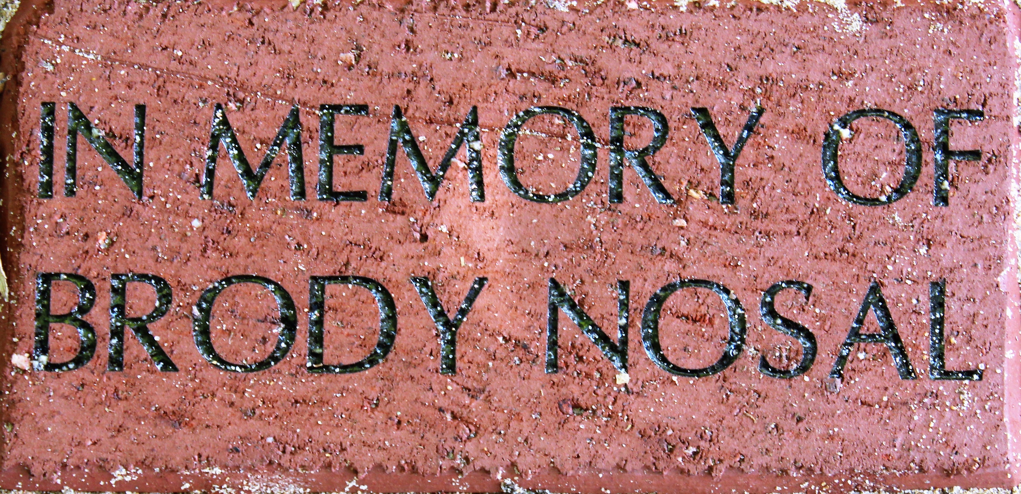 IN MEMORY OF BRODY NOSAL