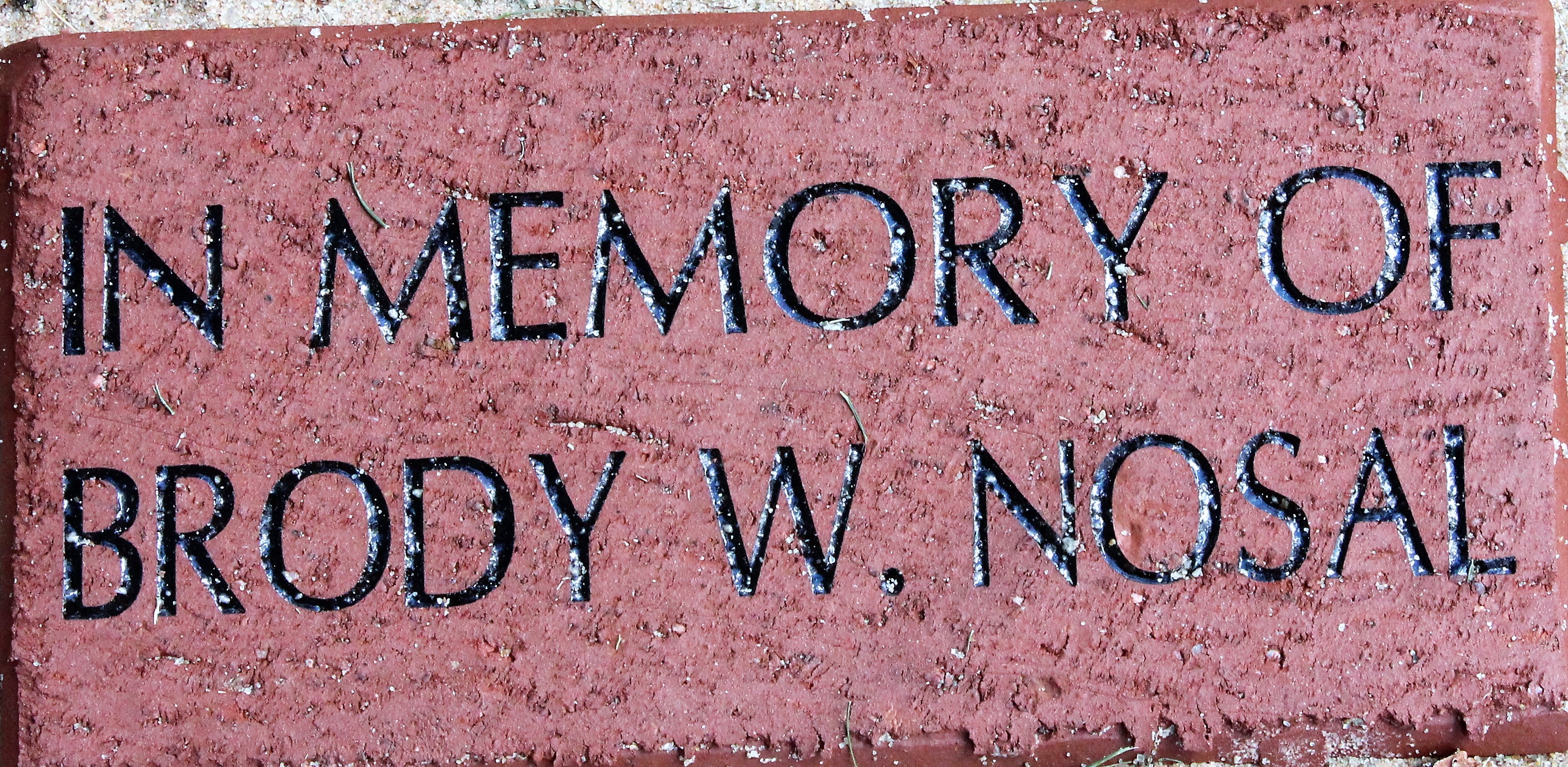 IN MEMORY OF BRODY W. NOSAL
