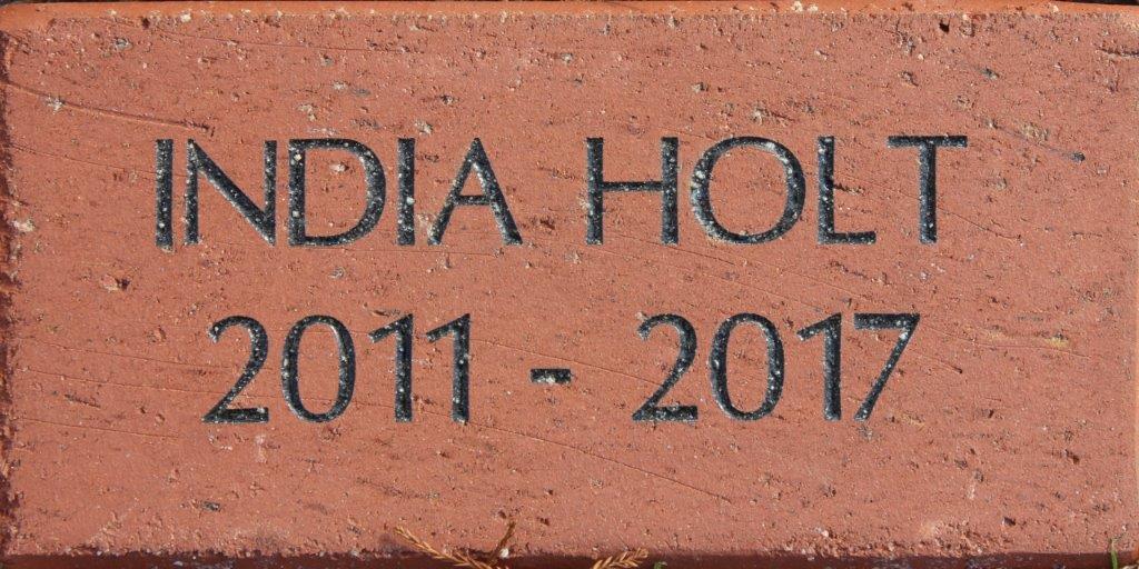 INDIA HOLT 2011-2017