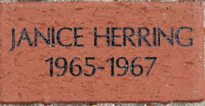 JANICE HERRING 1965-1967