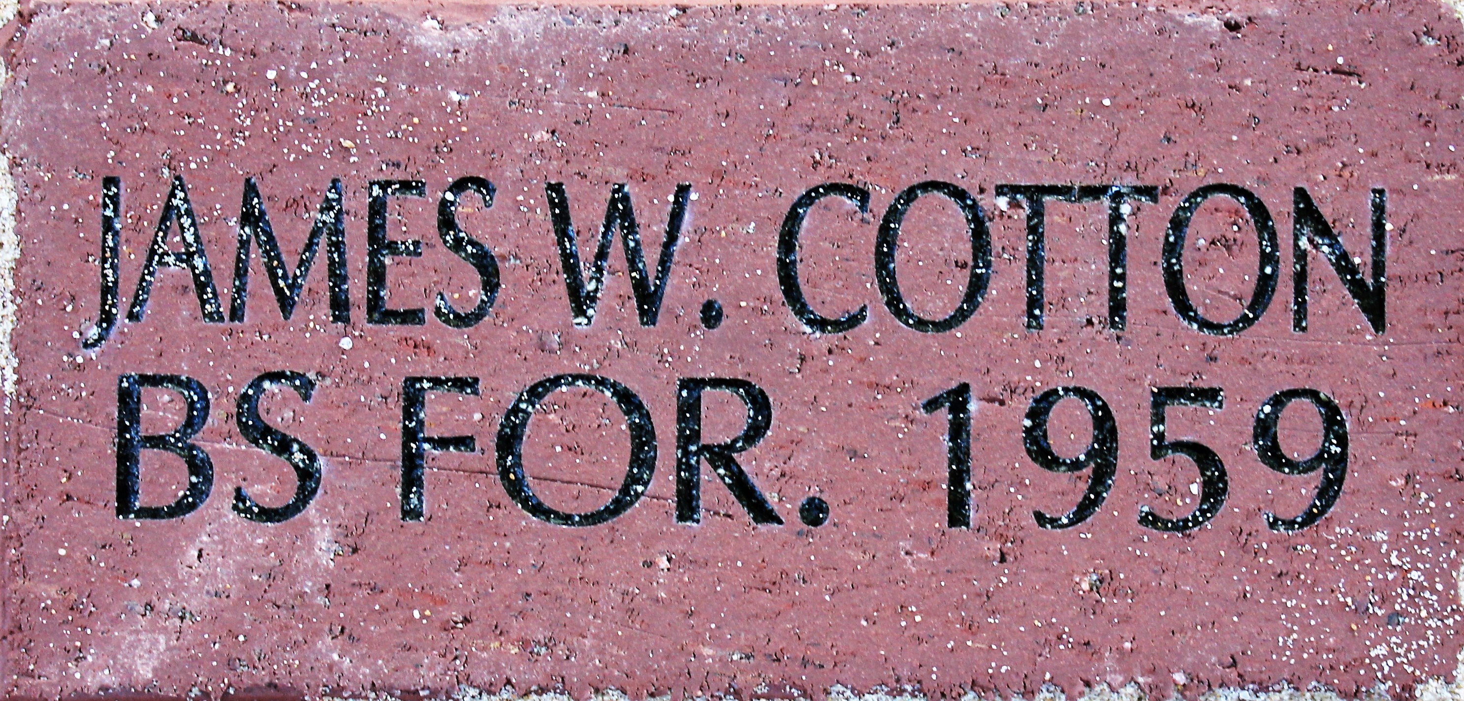 JAMES W. COTTON BS FOR 1959