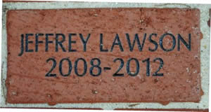 JEFFREY LAWSON 2008-2012