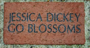 JESSICA DICKEY GO BLOSSOMS