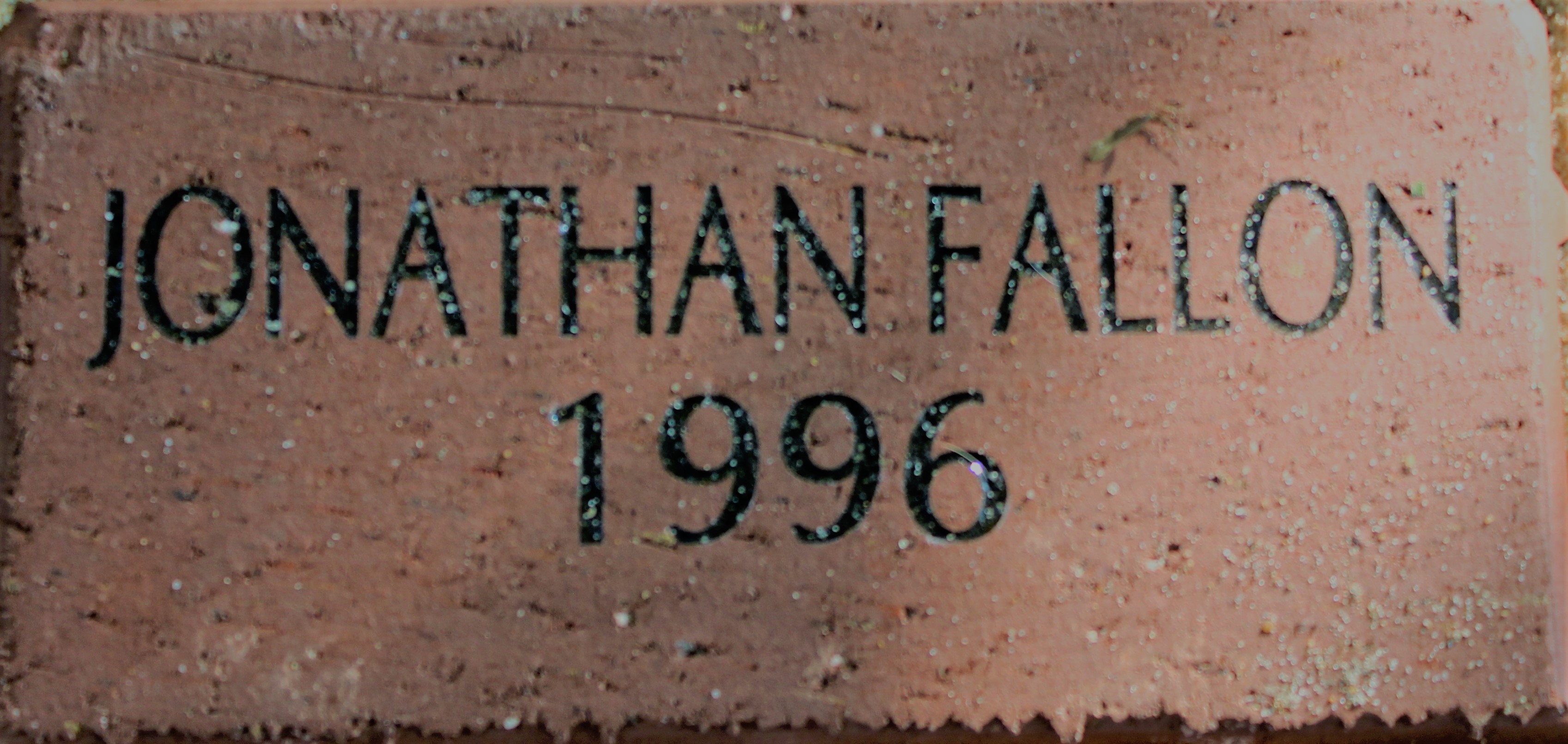 JONATHAN FALLON 1996