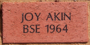JOY AKIN BSE 1964