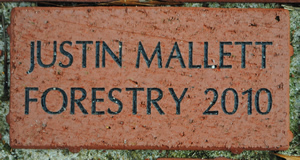 JUSTIN MALLETT FORESTRY 2010
