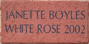 JANETTE BOYLES WHITE ROSE 2002