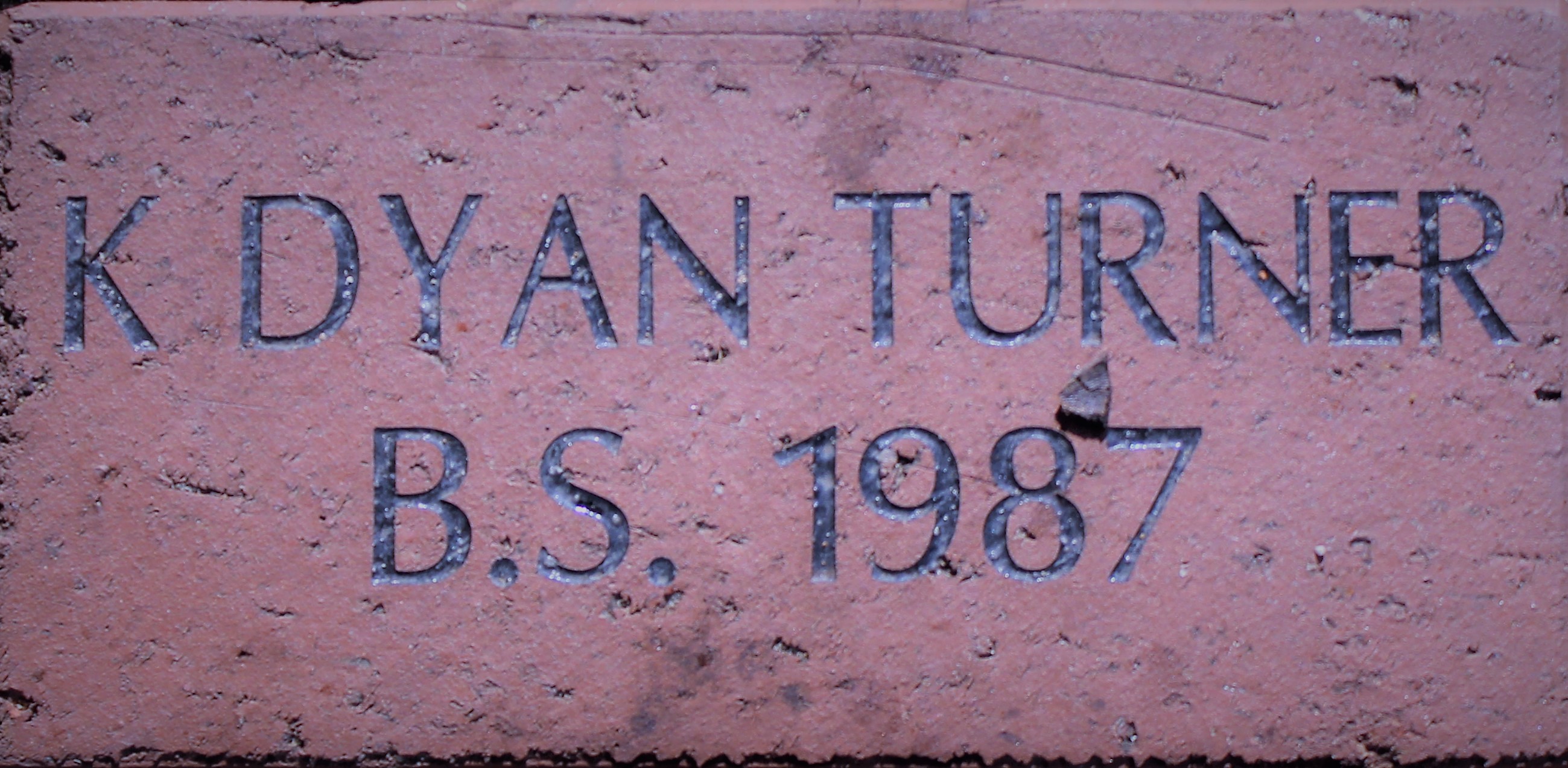 K. DYAN TURNER B.S. 1987