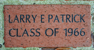 LARRY E PATRICK CLASS OF 1966