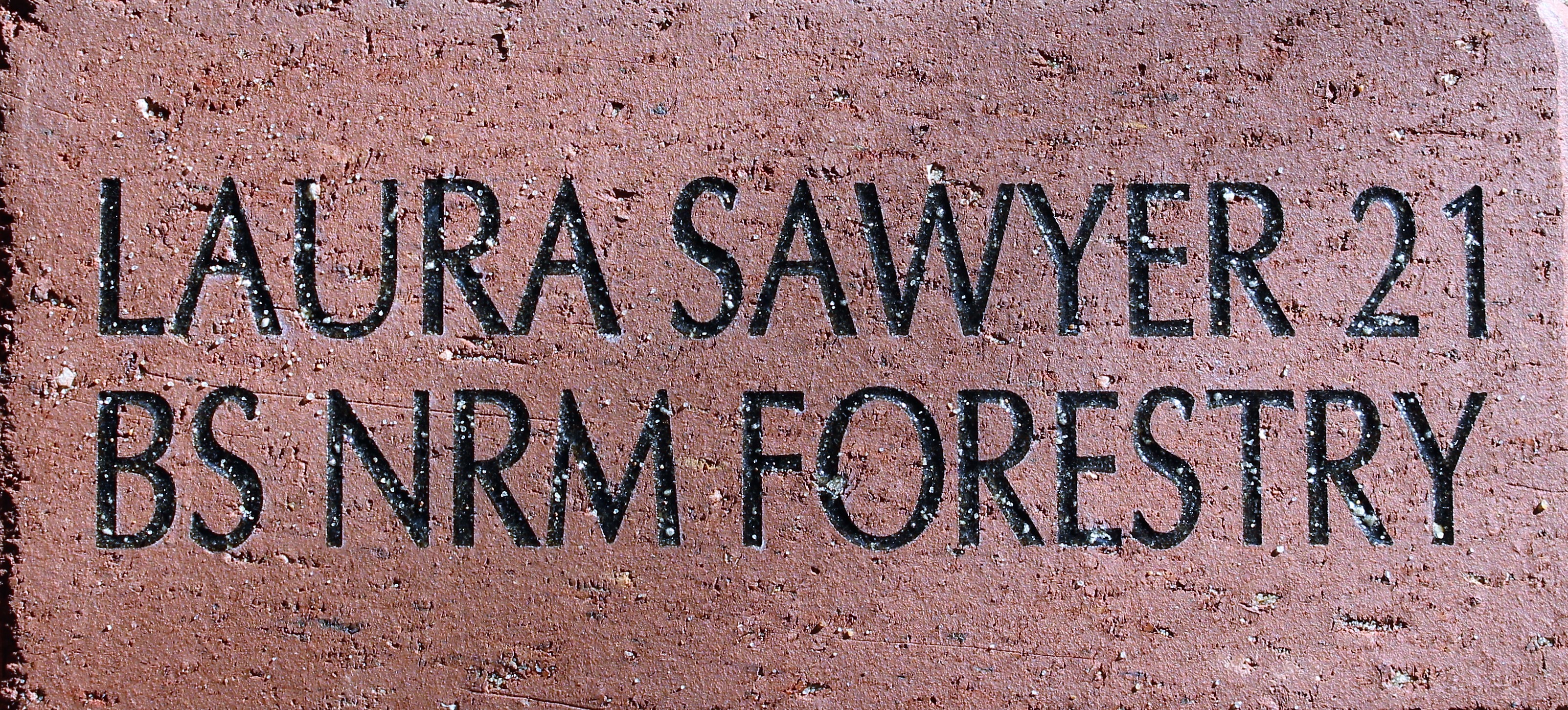 LAURA SAWYER 21 BS NRM FORESTRY