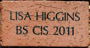 LISA HIGGINS BS CIS 201