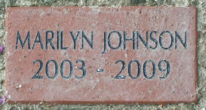 MARILYN JOHNSON 2003 - 2009