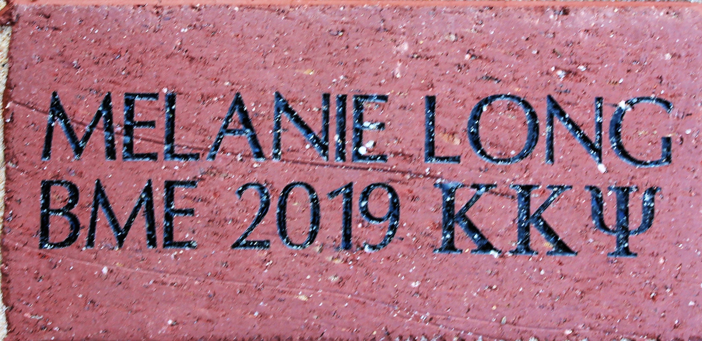 MELANIE LONG BME 2019 ΚΚΨ