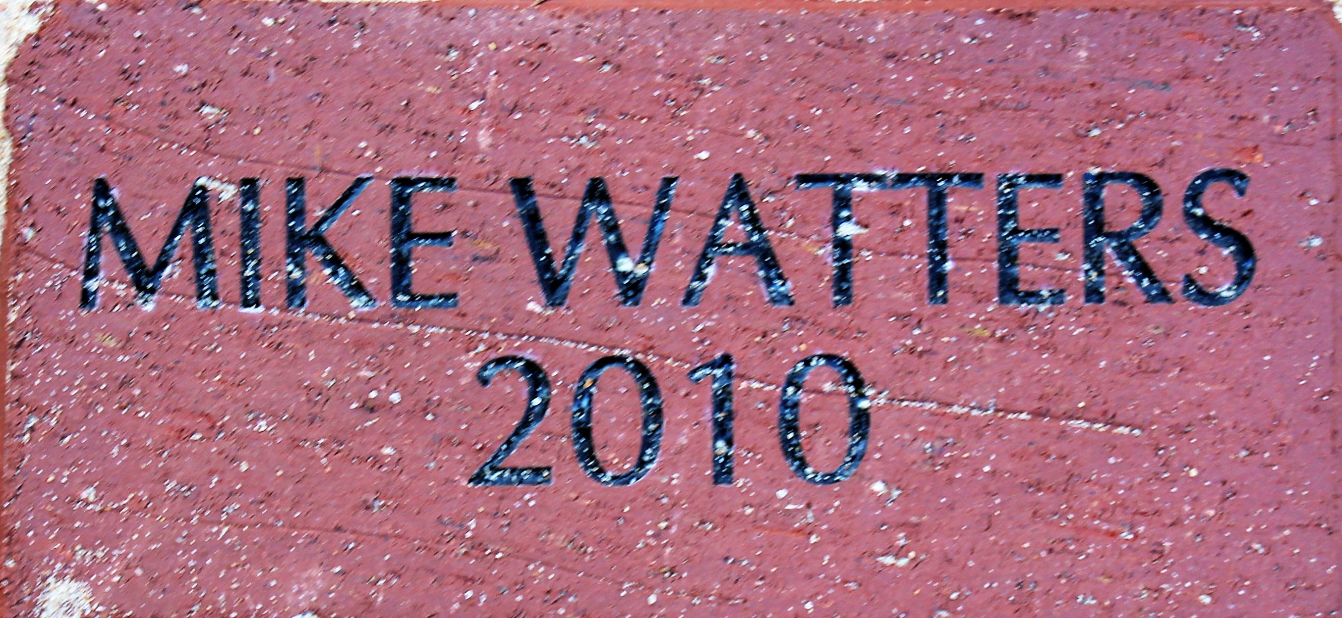 MIKE WATTERS 2010