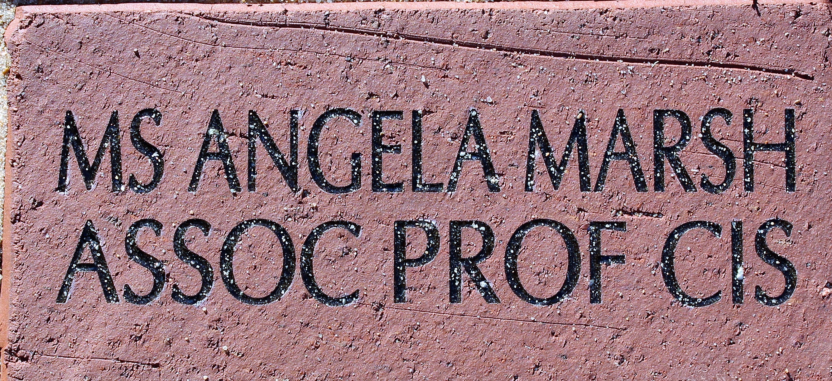MS ANGELA MARSH ASSOC PROF CIS