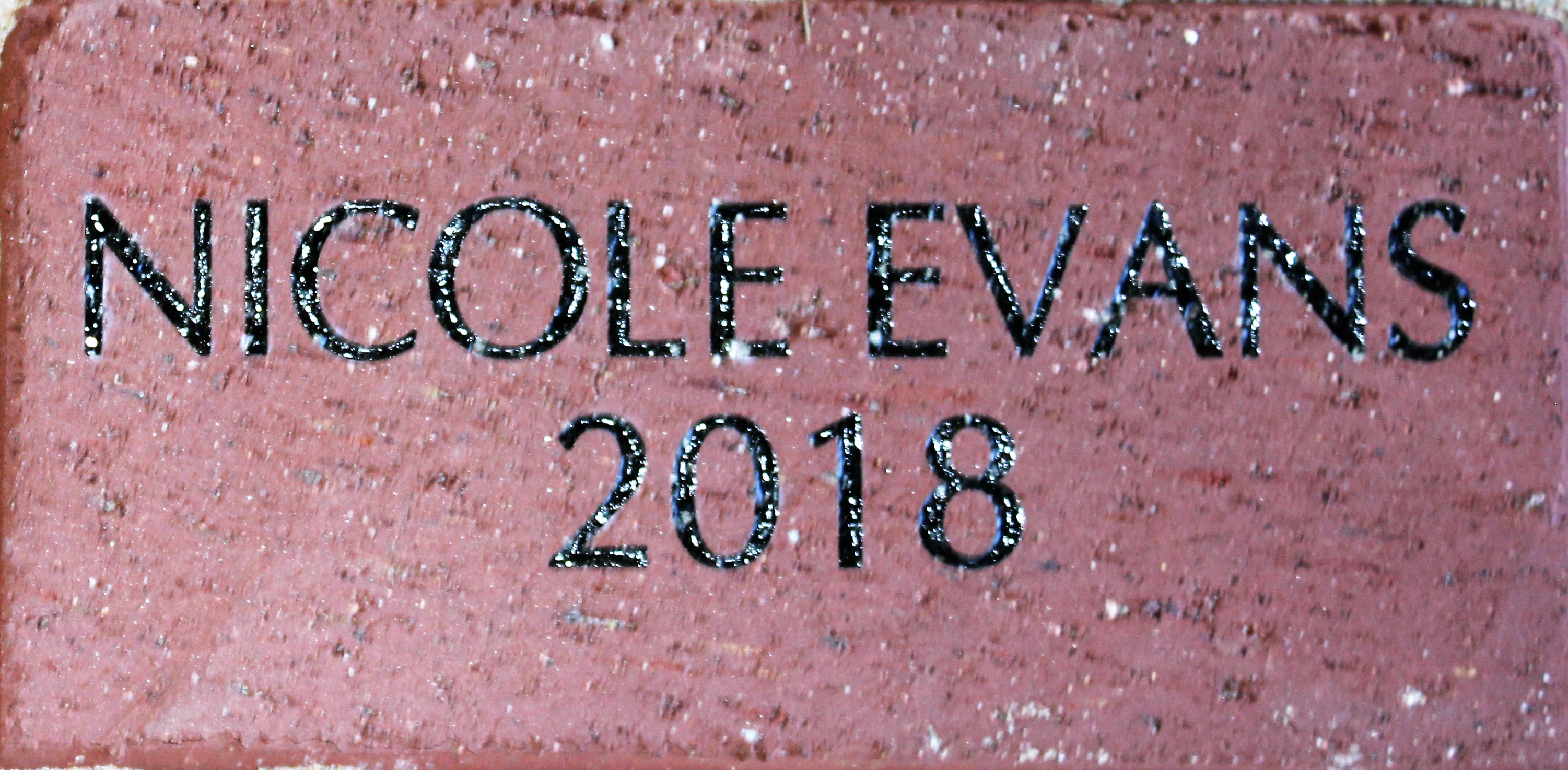 NICOLE EVANS 2018