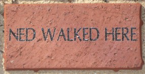 NED WALKED HERE