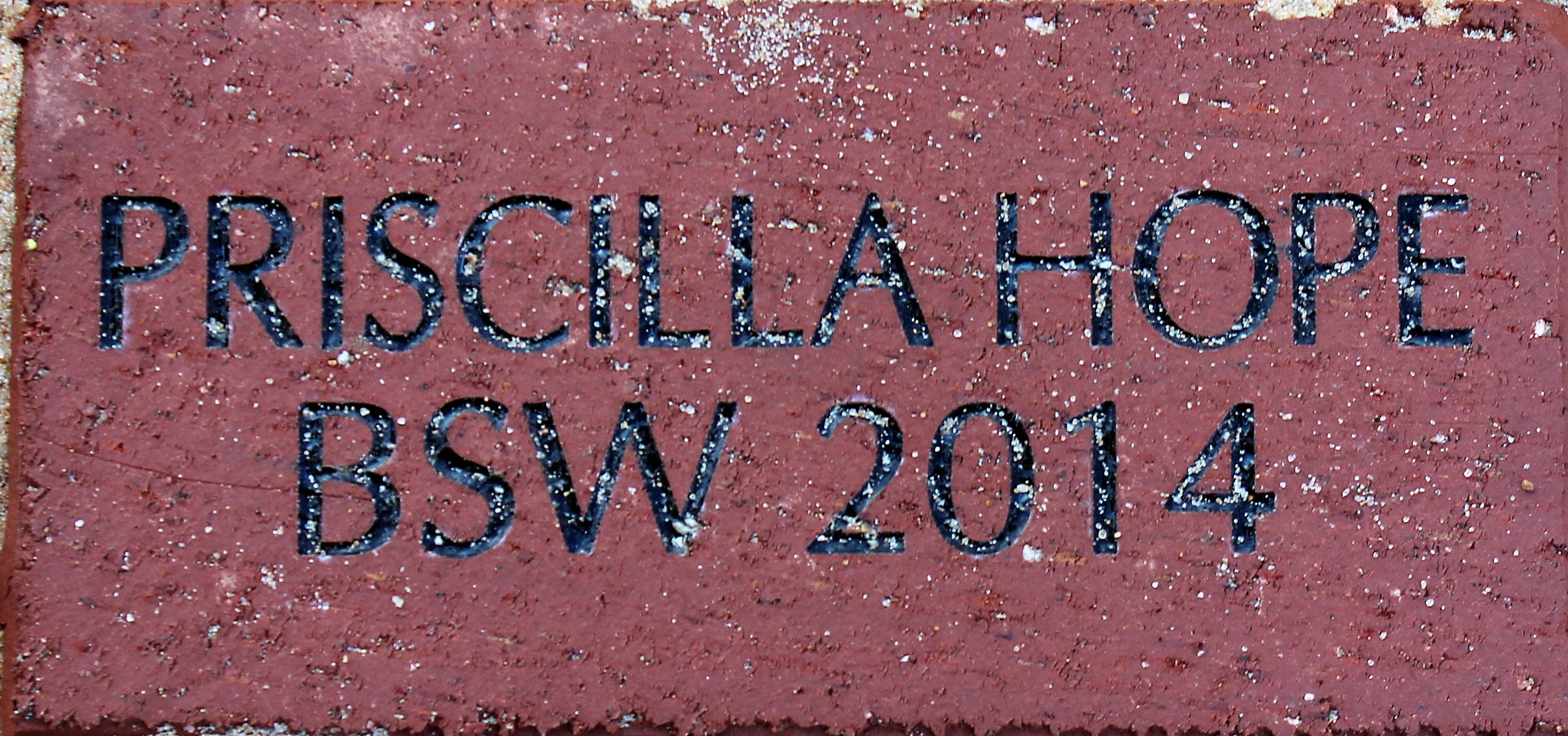 PRISCILLA HOPE BSW 2014