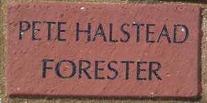 PETE HALSTEAD FORESTER