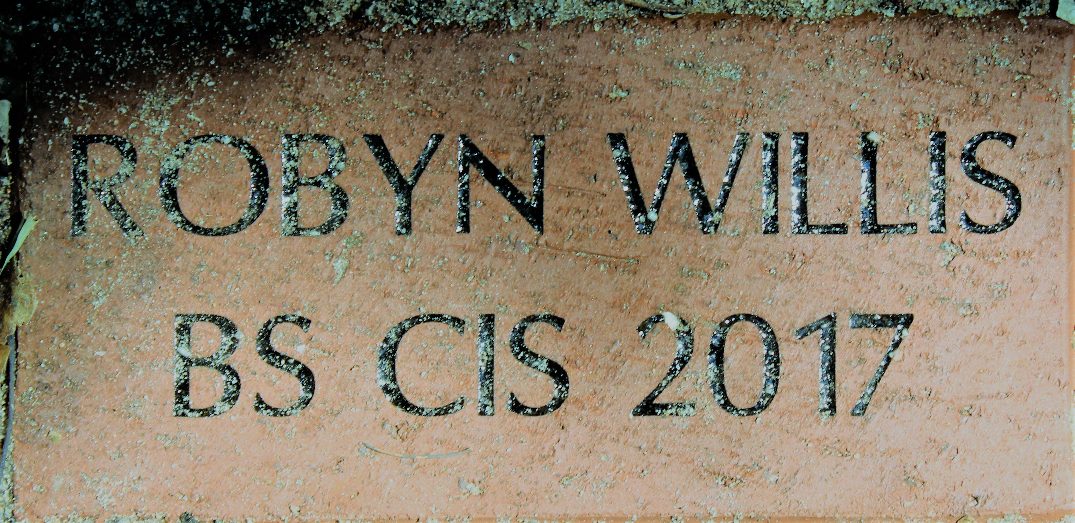 ROBYN WILLIS BS CIS 2017
