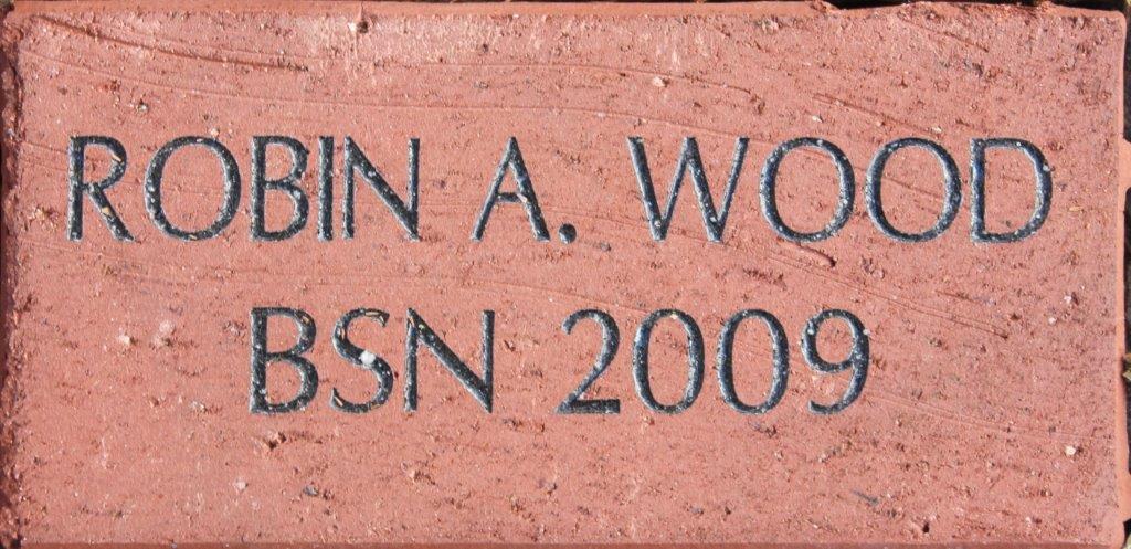 ROBIN A WOOD BSN 2009