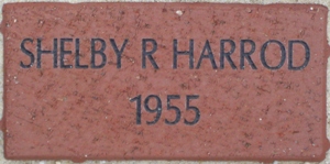 SHELBY R HARROD 1955
