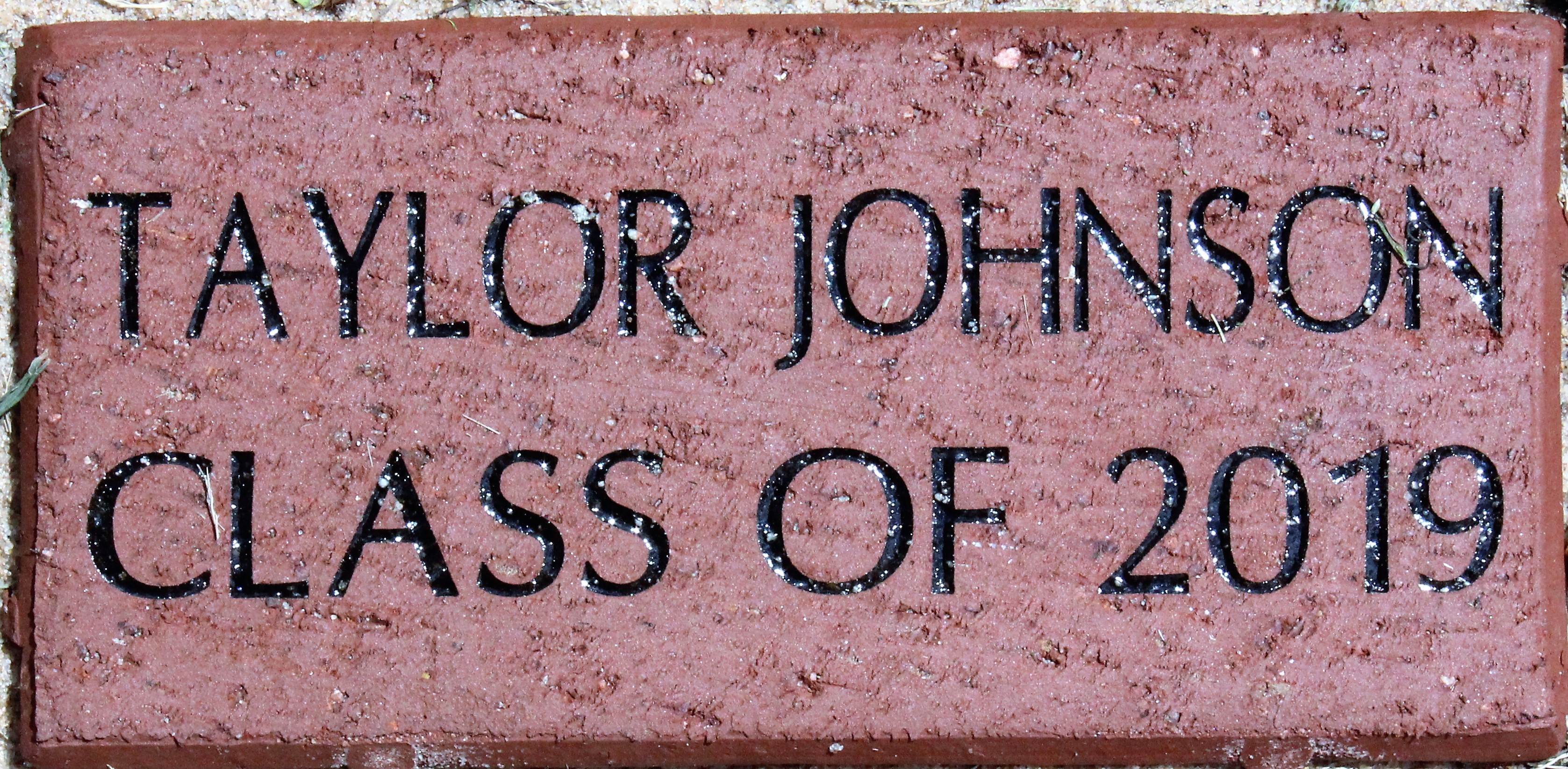TAYLOR JOHNSON CLASS OF 2019
