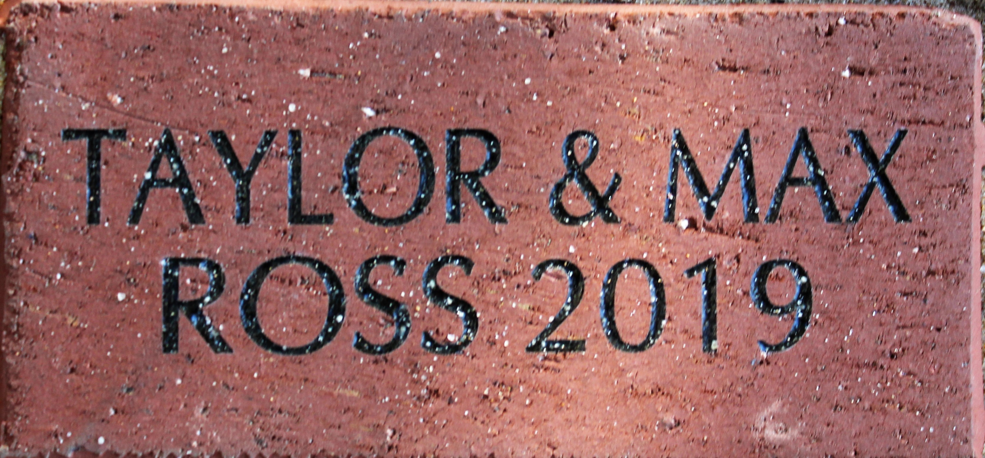 TAYLOR & MAX ROSS 2019