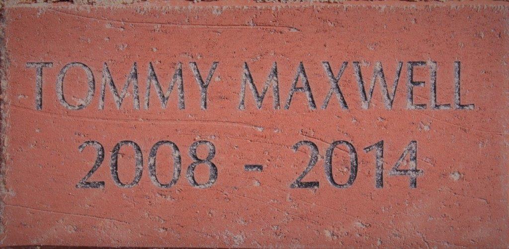 TOMMY MAXWELL 2008-2014